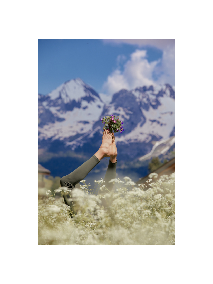 E-Card Kitiwaké-200